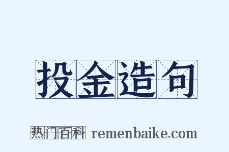投金造句是什么意思的图片